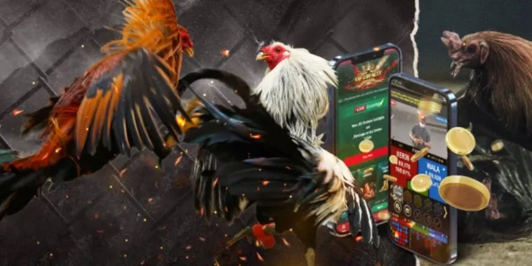 Tuyệt Chiêu Áp Dụng Cách Chơi Đá Gà GA28 Tại Vui123