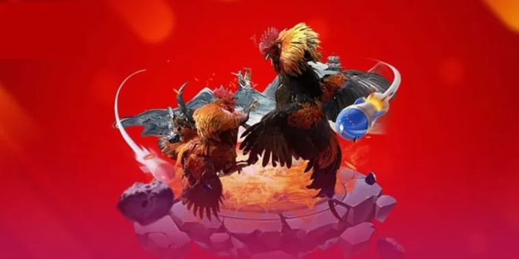 Trải Nghiệm Đỉnh Cao Sảnh Đá Gà Vui123 Trực Tiếp Đẳng Cấp Nhất