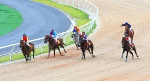 Phương Pháp Tìm Hiểu Cá Cược Đua Ngựa Vui123 Mang Về Lợi Nhuận Khủng